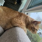 IMG_7581.jpeg