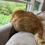 IMG_7744.jpeg