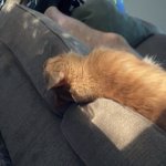 IMG_7952.jpeg