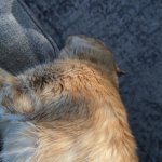 IMG_7953.jpeg