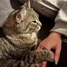 Kat & Trixie